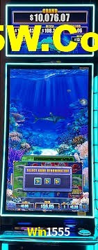 Aviator Game Win1555