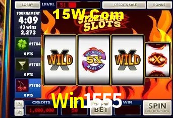 Sistemas de Segurança Win1555